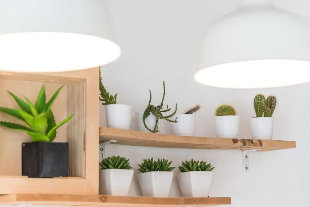 Inlapa Studio VI Porto Garden 外观 照片